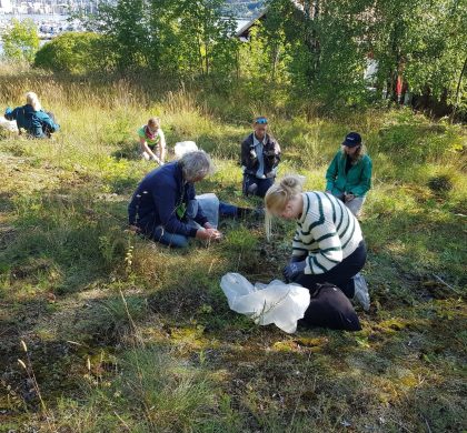 Dugnad Hovedøya